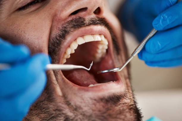 Best Emergency X-Rays and Diagnostics in New California, OH