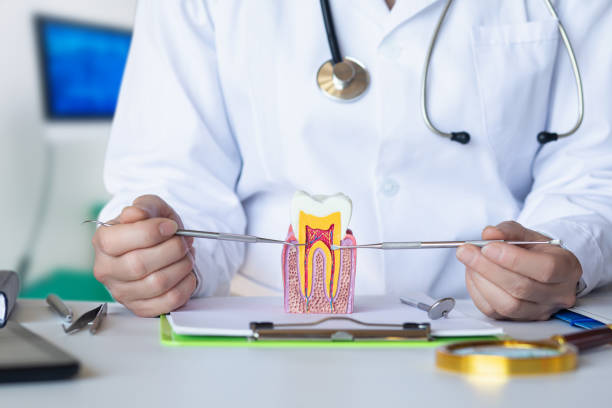 Best Emergency Wisdom Tooth Extraction in New California, OH